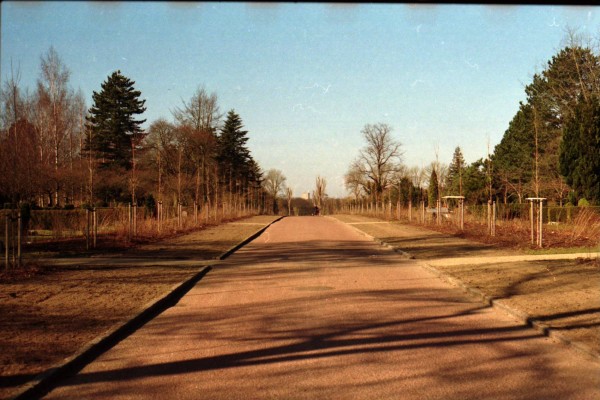 Scan10031